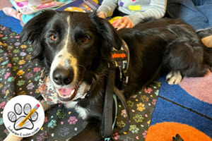 Atelier zoo-lecture : Je lis avec Pitou (2 mai 2026)