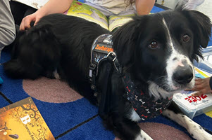 Atelier de zoothérapie – Enfants à besoins particuliers (9 mai)