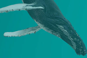 Visite scolaire spéciale IACéta (4 mai)